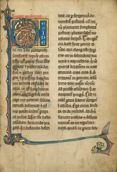 Bewohnter Initialbuchstabe D